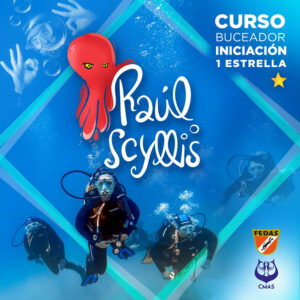Curso de Buceo 1 Estrella